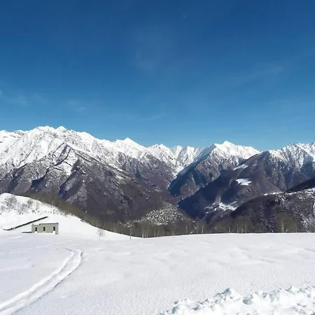 Incredible By Design * Perledo