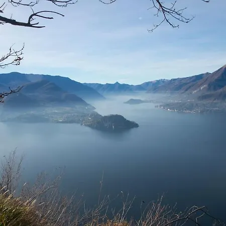 Incredible By Design * Perledo