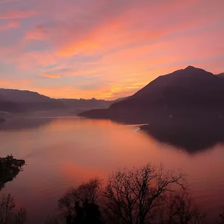 Incredible By Design Perledo