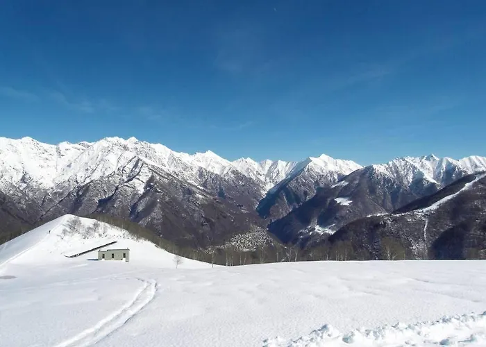 Incredible By Design * Perledo