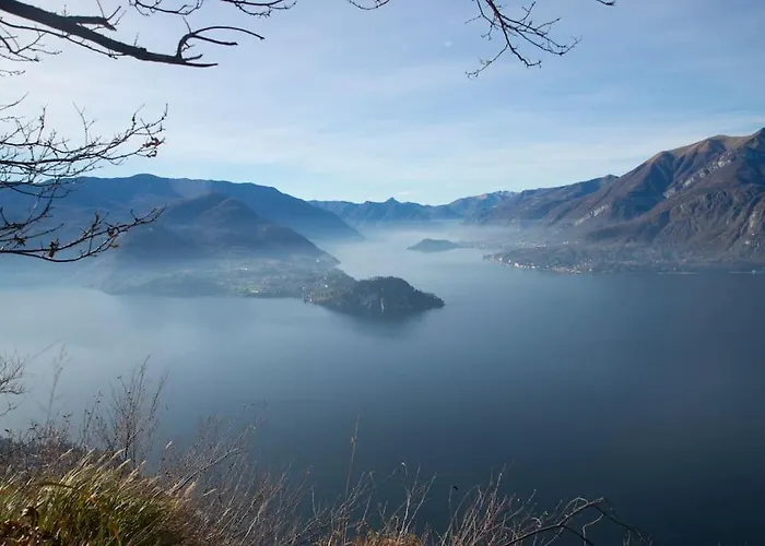 Incredible By Design * Perledo